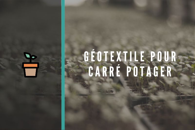 Le feutre géotextile pour carré potager