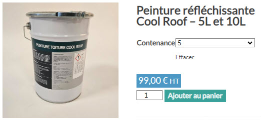peinture cool roof 2